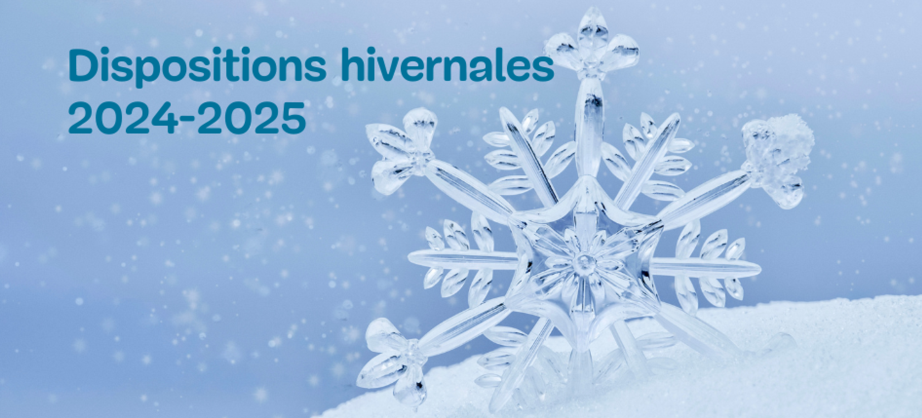 Dispositions hivernales