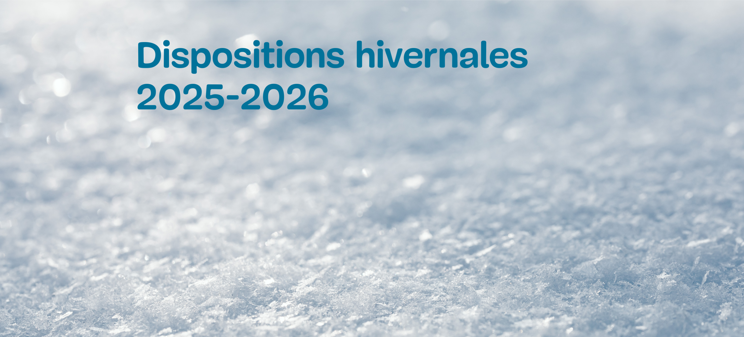 Dispositions Hivernales